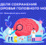 15-21 июля 2024 года — Неделя сохранения здоровья головного мозга - Сетевое издание Городище.РФ