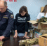 Росстат и Росреестр Волгоградской области отправили бойцам ценный груз - Сетевое издание Городище.РФ