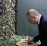 Путин подписал гитару для ушедшего на СВО учителя из Волгограда - Сетевое издание Городище.РФ